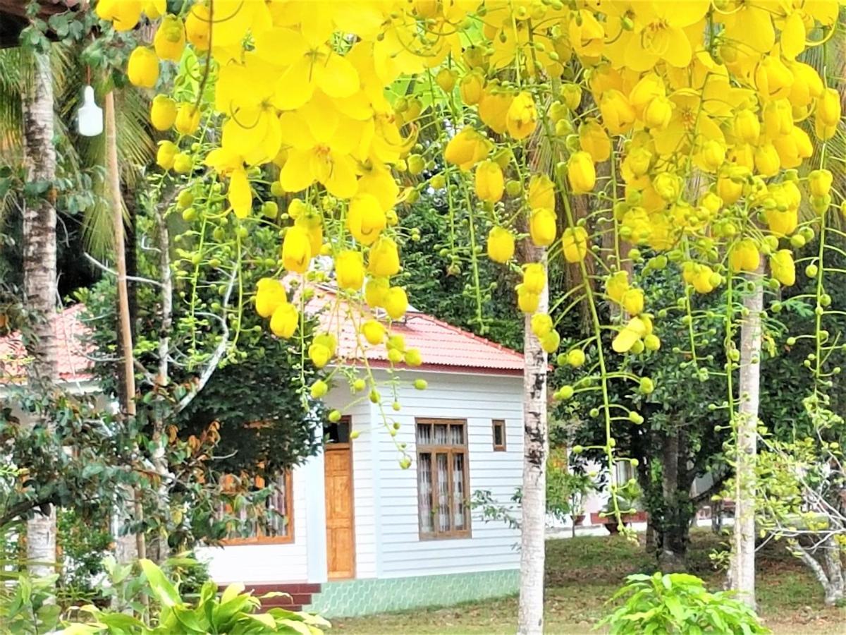 Tang Thanh Phat Resort Phu Quoc Bagian luar foto